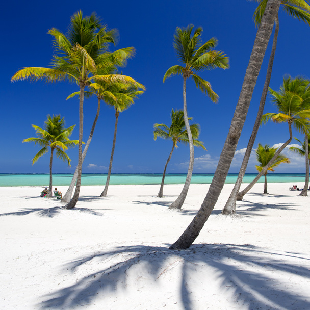 Beach on the tropical island - Foto, afbeelding