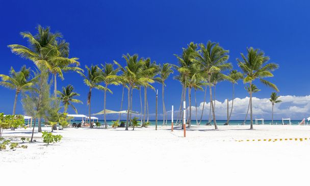 Strand a trópusi szigeten - Fotó, kép