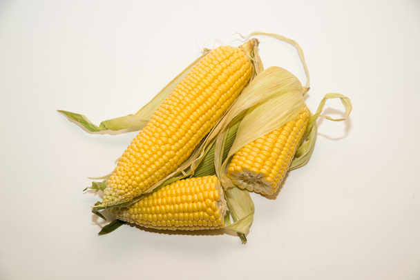 Several ears of corn on over white - Valokuva, kuva