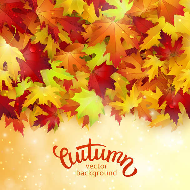 hojas de otoño colorido - Vector, Imagen