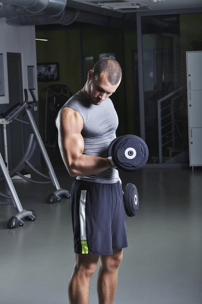 Handsome Muscular Male Model in a Standing Position With Dumbbells Doing Biceps Exercise - Foto, Imagem