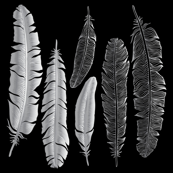 Beautiful Vintage Feathers - Vector, Image