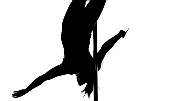 Silhouette of a sexy female pole dancing - Materiał filmowy, wideo