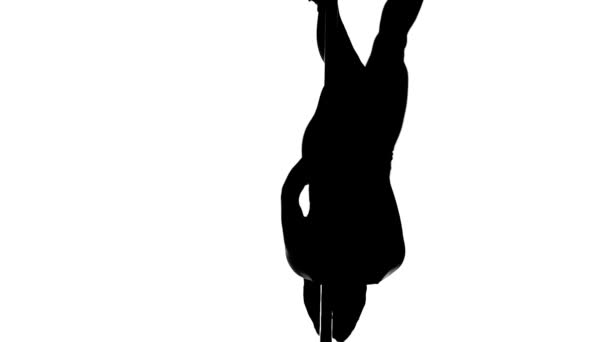 Silhouette of a sexy female pole dancing - Záběry, video