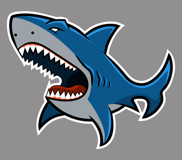 haai - Vector, afbeelding