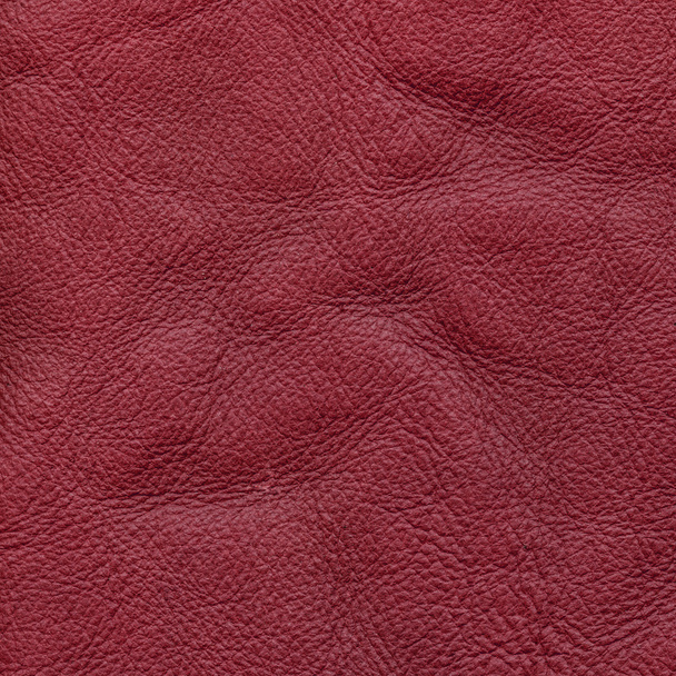 red  leather texture - Photo, image