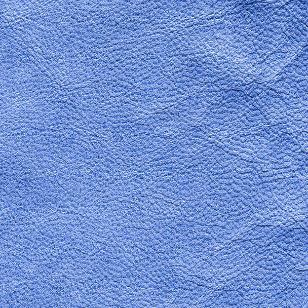 blue leather texture as background  - Foto, afbeelding