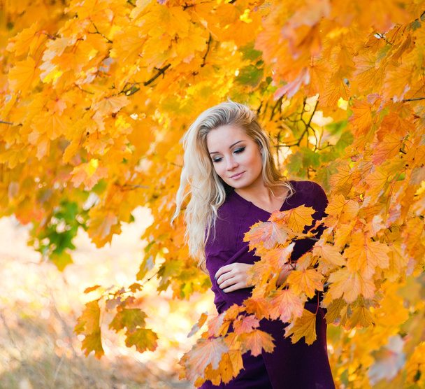 молода блондинка в осінньому кольорі
 - Фото, зображення