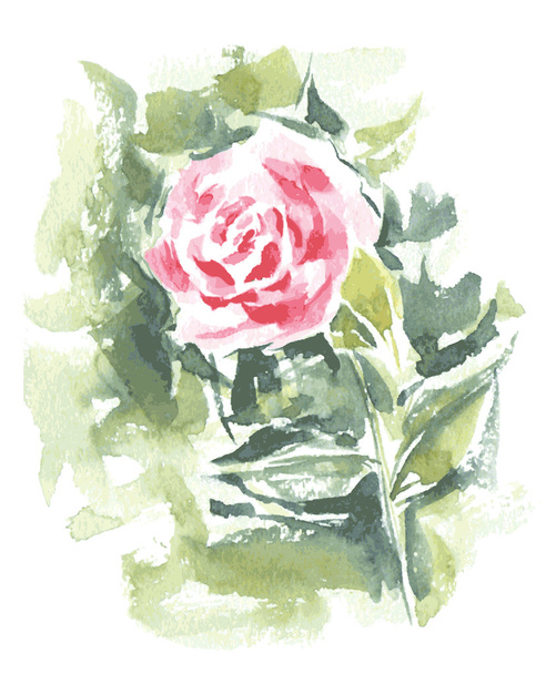 Abstract Watercolor Red Rose - Vettoriali, immagini