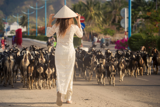 blonde girl in Vietnamese dress watches goats flock - Fotografie, Obrázek