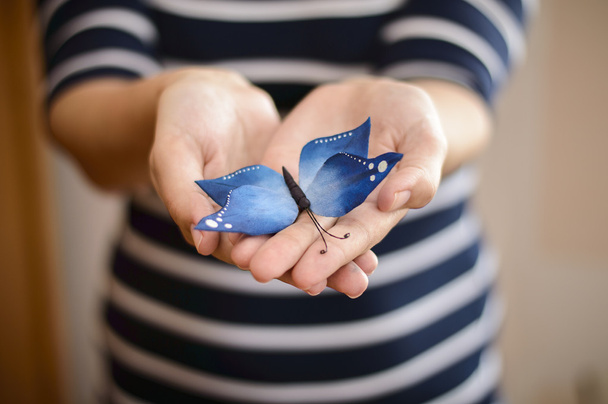 zuckerblauer Schmetterling in den Händen von Frauen - Foto, Bild