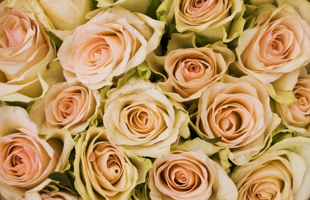 Gran ramo de rosas rosadas
 - Foto, Imagen