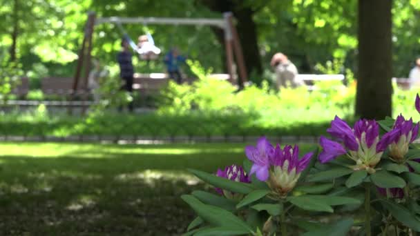Familie mit Kinderspiel und Schaukel im grünen Park - Filmmaterial, Video