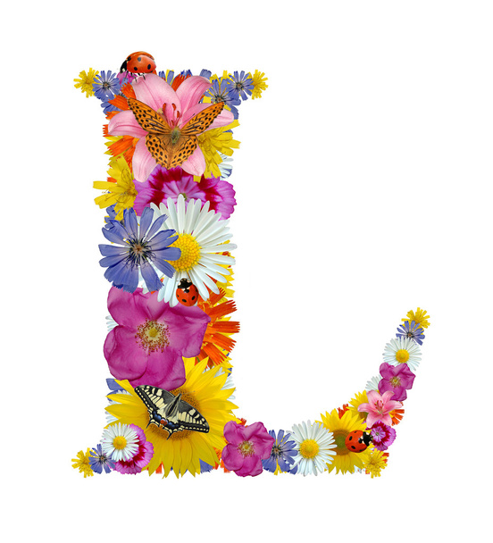 Alphabet from flowers with butterflies and ladybug - Photo, Image