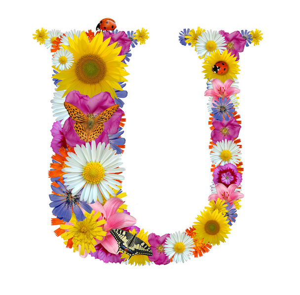 Alphabet from flowers with butterflies and ladybug - Foto, imagen