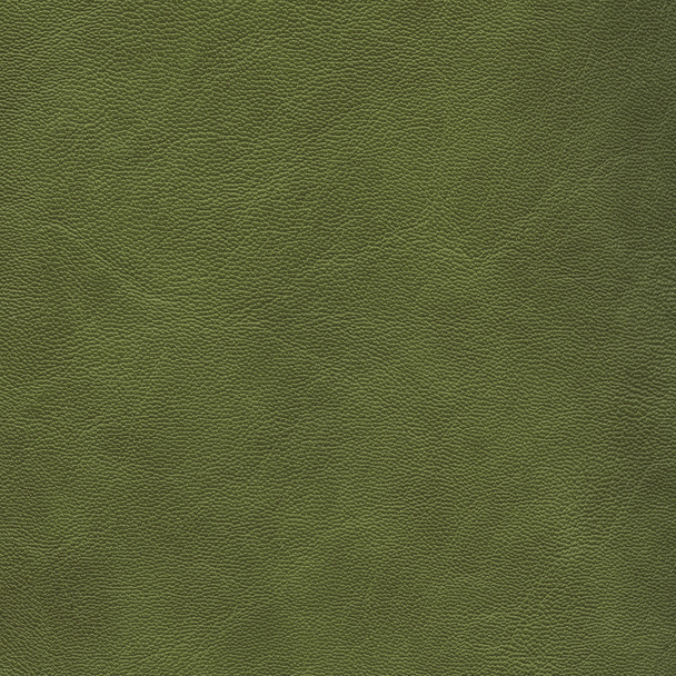 green leather texture as background - Foto, Imagen