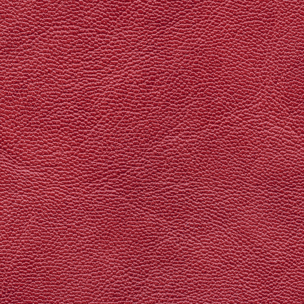 red leather texture closeup - Photo, Image