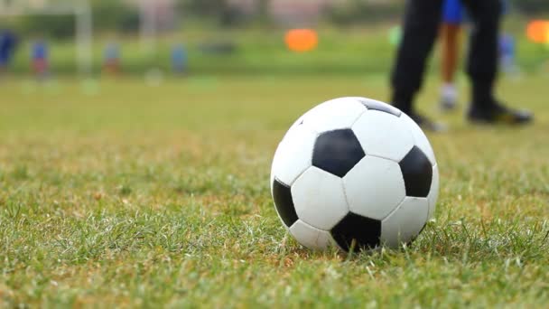 草の上のサッカーボール - 映像、動画