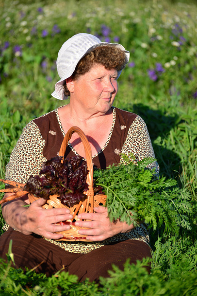  elderly woman with a basket of vegetables on the farm - Foto, Imagen
