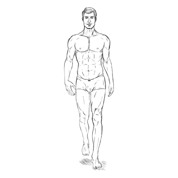 Mannelijke mannequin in ondergoed - Vector, afbeelding
