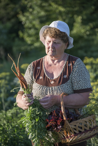  elderly woman with a basket of vegetables on the farm - Foto, imagen