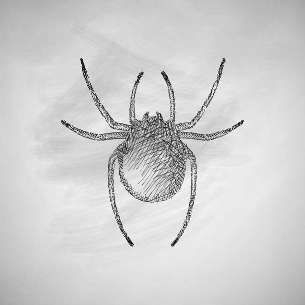 Spider icon on chalkboard - Vector, Image
