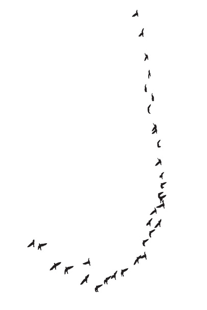 鳥の群れ - ベクター画像