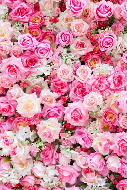 Zachte kleur Roses - Foto, afbeelding