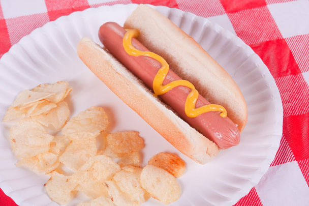 Hot dog ja pelimerkkejä - Valokuva, kuva