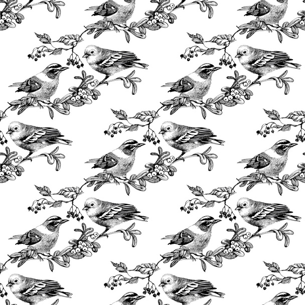 Seamless pattern with birds - Foto, afbeelding