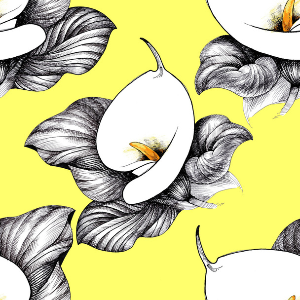 calla lilly floral background - Фото, зображення