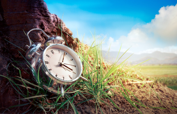 Reloj despertador en hierba
 - Foto, imagen