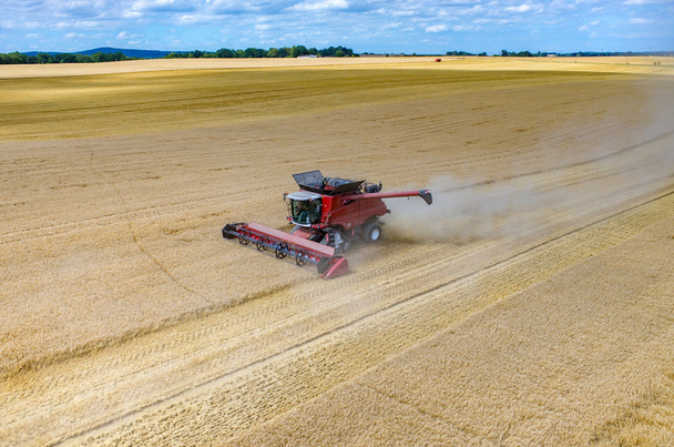 Комбайни і трактори, що працюють на пшеничному полі
 - Фото, зображення
