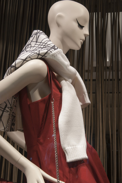 fashion mannequin display - Фото, зображення