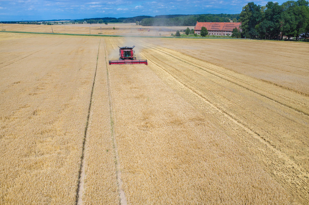 Комбайны и тракторы, работающие на пшеничном поле
 - Фото, изображение
