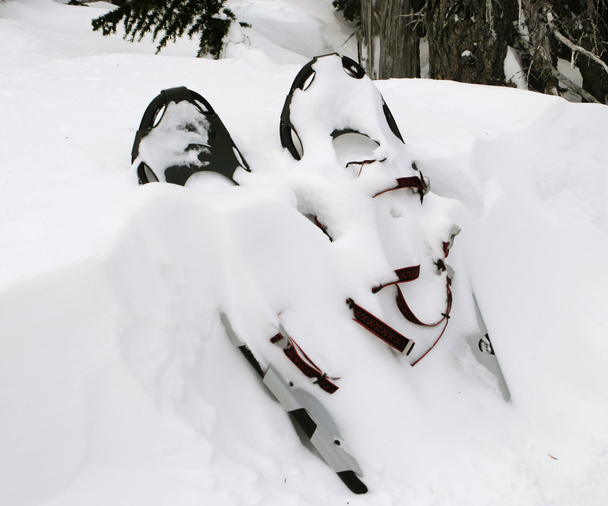 ζευγάρι χιονοπέδιλα - Φωτογραφία, εικόνα