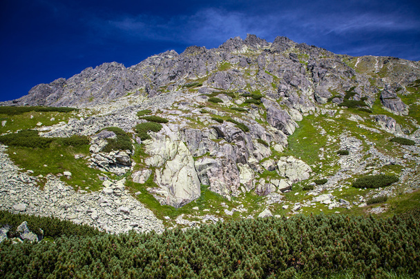 Hill - Predne Solisko - w Wysokie Tatry, Słowacja - Zdjęcie, obraz