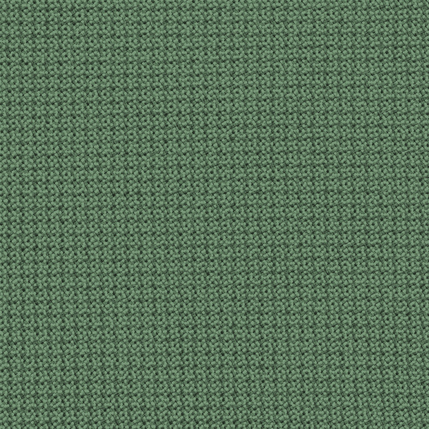 green fabric texture closeup - 写真・画像