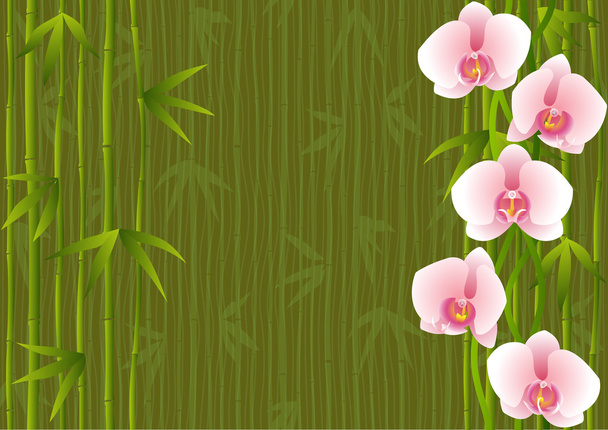 Orkide ve bambu ile arka plan - Vektör, Görsel