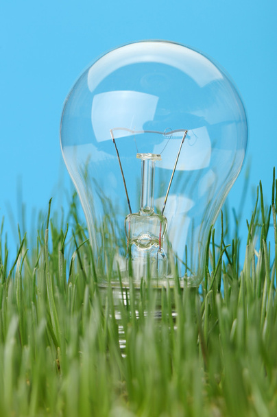 Electric lamp in a grass - Foto, Imagem