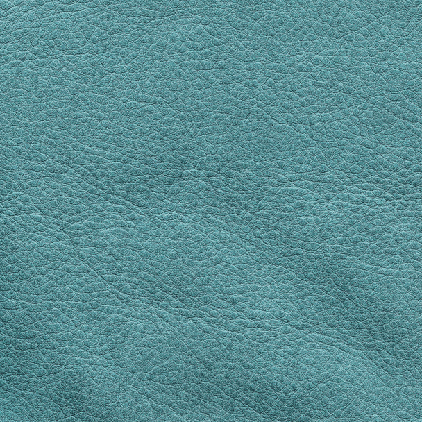 greenish-blue leather texture closeup. - Foto, Bild