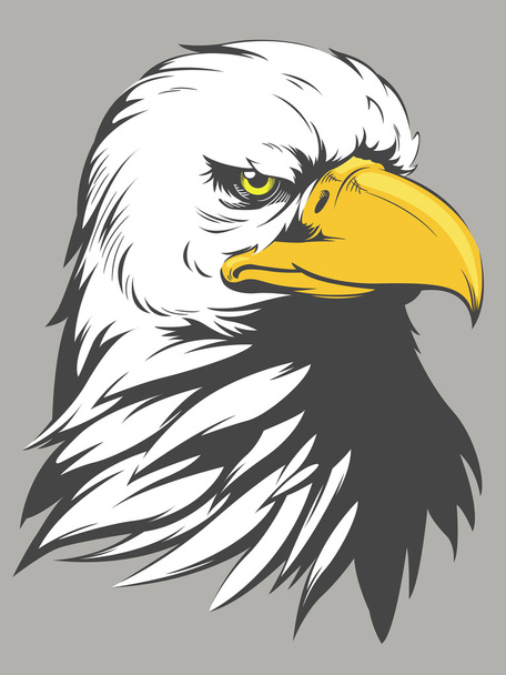 Cabeça de águia careca Desenhos animados
 - Vetor, Imagem