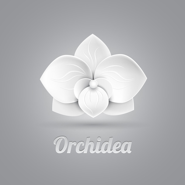 Çiçek logo vektörü - Vektör, Görsel