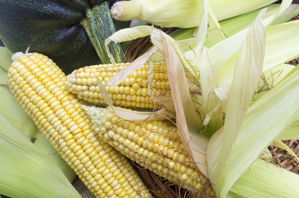 friss sárga kukorica - Fotó, kép