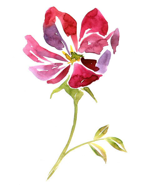 watercolor drawing flower - Zdjęcie, obraz