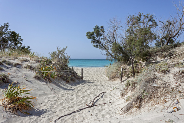 pláž Elafonisi - Fotografie, Obrázek