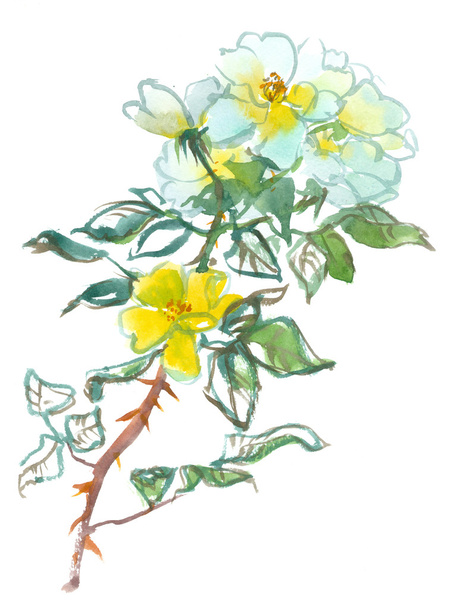 white yellow roses - Foto, Imagem