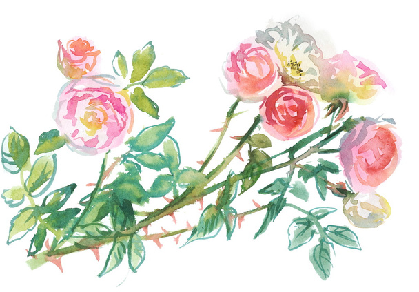 pale pink roses - Valokuva, kuva