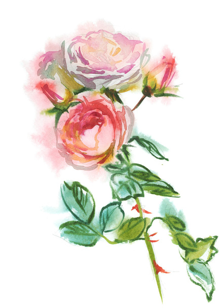 pink roses - Φωτογραφία, εικόνα