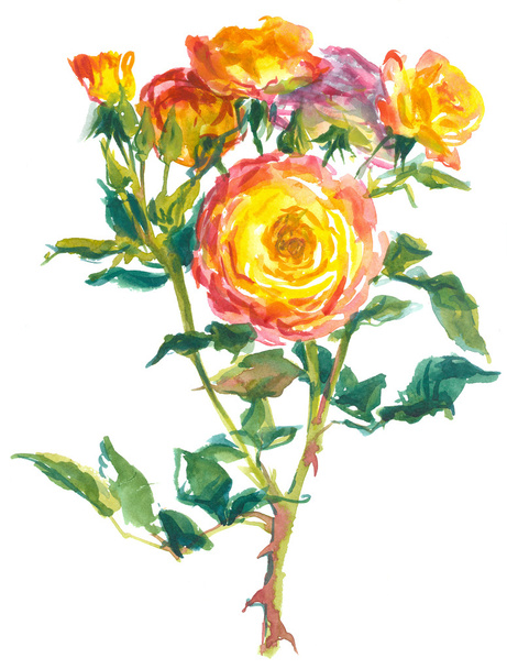 pink yellow roses - Foto, afbeelding